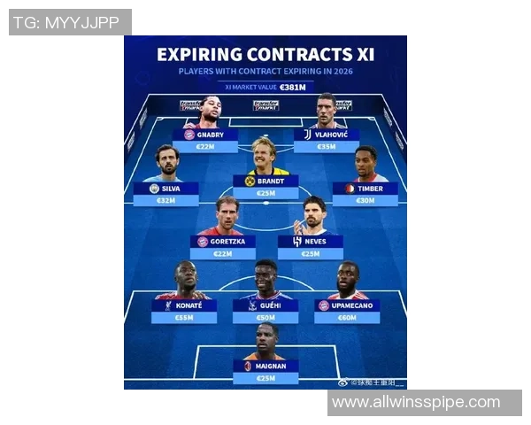 法甲里昂足球明星阵容揭秘及其在赛场上的精彩表现分析