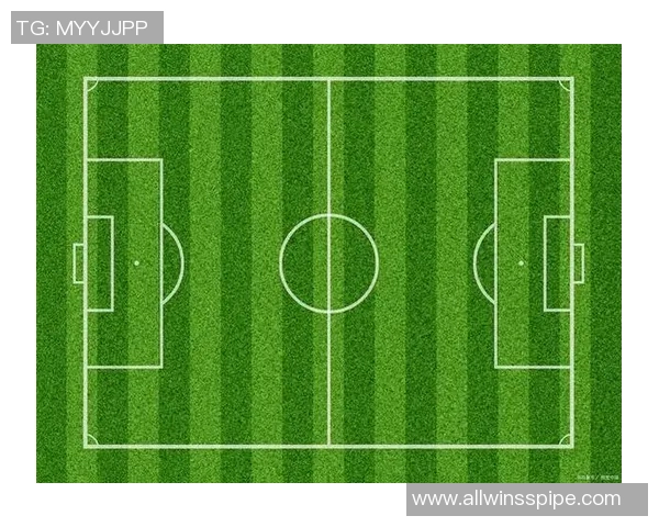 杨强独家揭秘足球技巧与战术心得分享助你提升球场表现 杨强独家揭秘足球技巧与战术心得分享助你提升球场表现