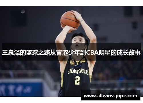 王泉泽的篮球之路从青涩少年到CBA明星的成长故事